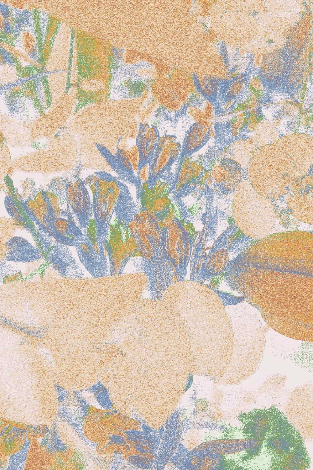 rugs collection, Sky &#038; Earth: A Rug Collection Inspired by the Great Outdoors by Nora Chou Exclusively for Silk Avenue