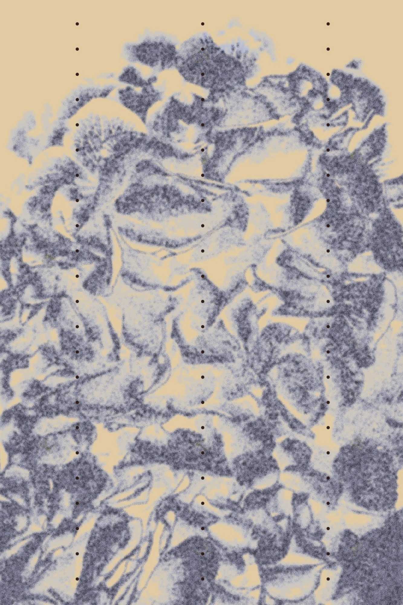 rugs collection, Sky &#038; Earth: A Rug Collection Inspired by the Great Outdoors by Nora Chou Exclusively for Silk Avenue