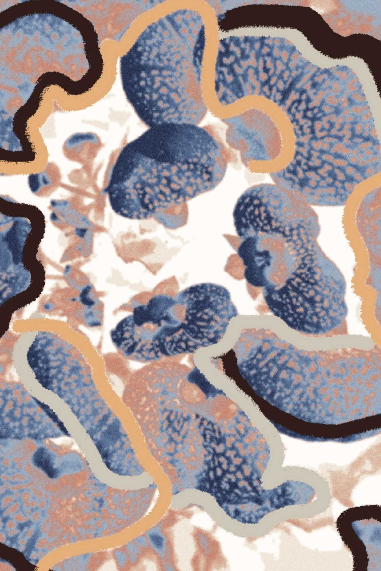 rugs collection, Sky &#038; Earth: A Rug Collection Inspired by the Great Outdoors by Nora Chou Exclusively for Silk Avenue