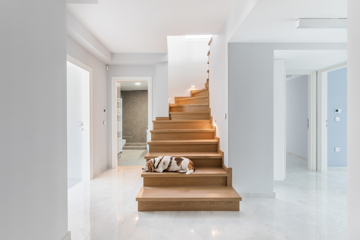 Square Design Interiors, The Story Behind Square Design Interiors: Blending Aesthetics and Functionality