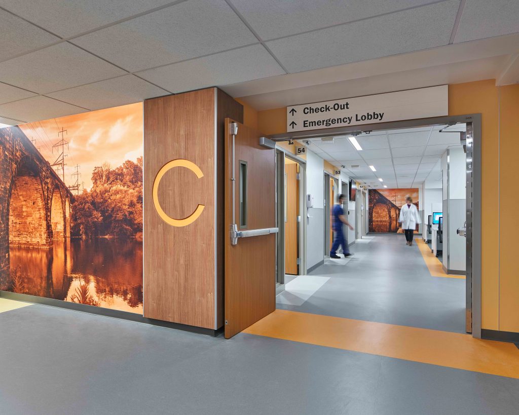 11. Healthcare and Wellness Design