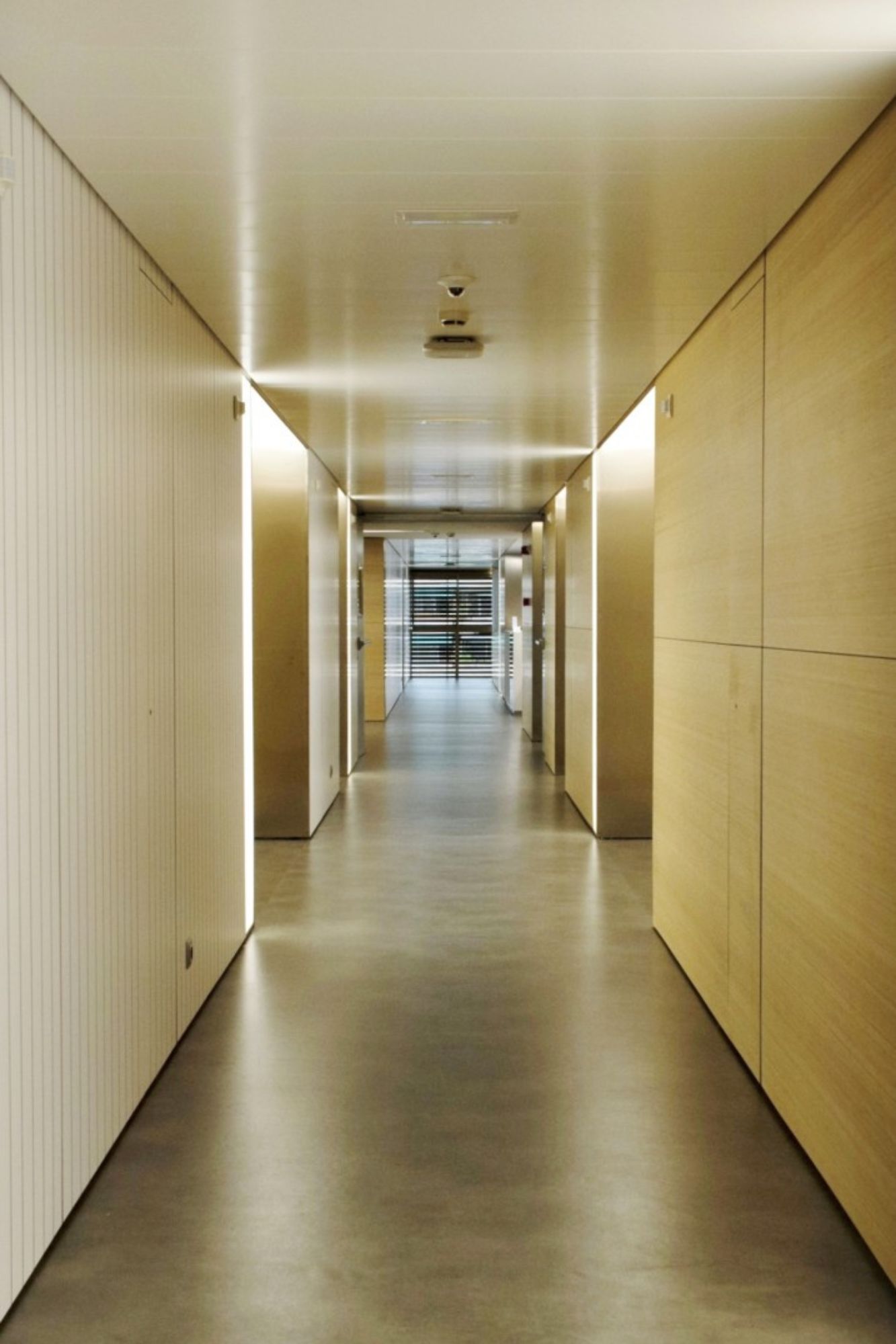 wood products, A Close Look at Parklex Prodema&#8217;s Offering and Product Features